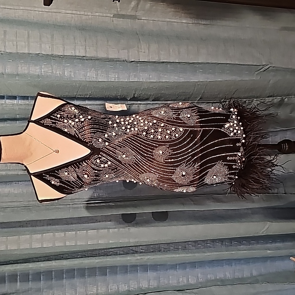 NWT, Stunningly Gorgeous, "Pink Browny" Dress